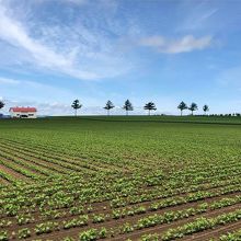 北海道を感じる