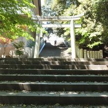 階段も長いです。