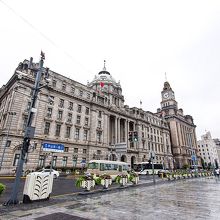 ビルの向かいの道路に紫陽花が植えられている。