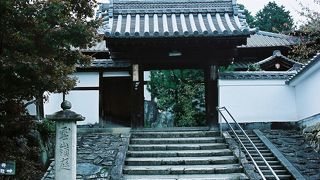 庭園が素晴らしい