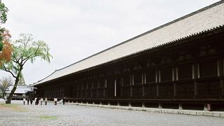 お堂周辺のお庭も