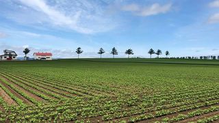 メルヘンの丘近く