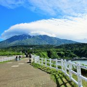 野塚岬　礼文島　利尻山の見晴らしの良い展望台