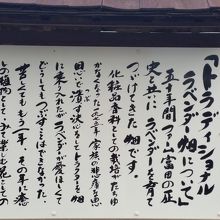 トラディショナル畑