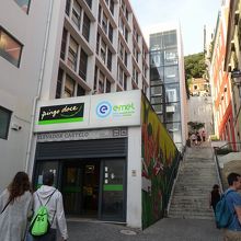 参考までに、Chão do Loureiro店。