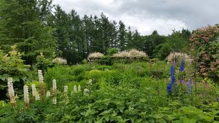 ホテルからワゴン車、そしてかなり歩きます