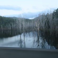 車の窓から見えた不思議な景色