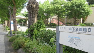 イチョウ並木の通りです