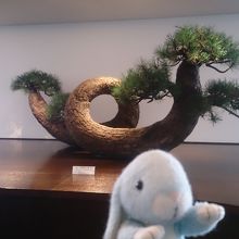 これは、サクララウンジにないそうです