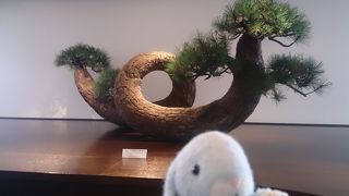 サクララウンジとそんなにかわりません