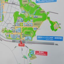 日吉駅前の慶応大学陸上競技場が避難所に指定
