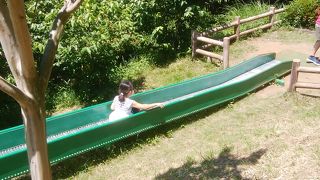 ローラー滑り台があります。