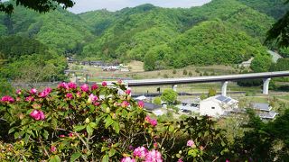 しゃくなげの里