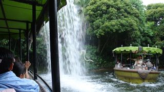 ジャングルを探検