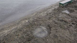 砂を掘るとお湯が湧く