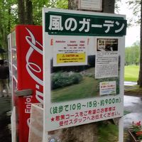 ワゴン車を待つ