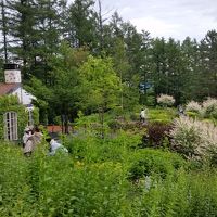 グリーンハウス