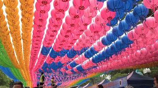 Coexの真横の都会の中のお寺