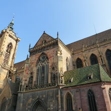 写真右側上部にコウノトリの巣があります！