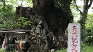 パワーもらえます！