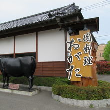 店頭の牛さんはほぼ実物大