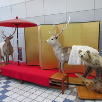 レストラン入口に何故か剥製？…