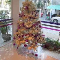 パラディソ ブティック スイーツ