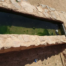 これが、ロレンス泉から引いてきた水