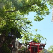 お寺なのに神社の鳥居が目立つ