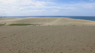 砂丘から見る風景は絶景