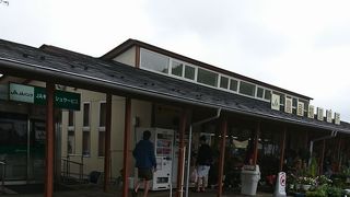 巨大な椎茸　天恵