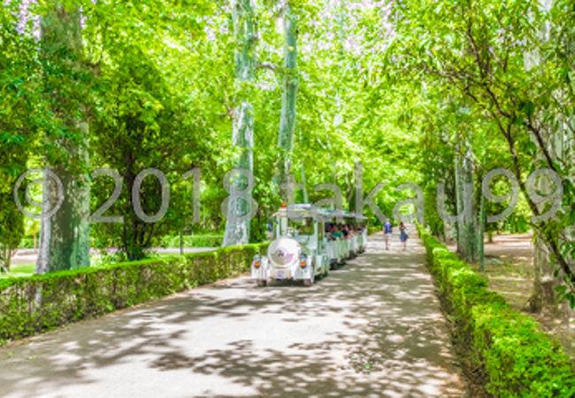 自分の足でのんびり散策しながら巡りたいです。