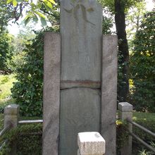 支えが必要になっています。