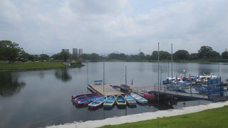 遊歩道が整備されています