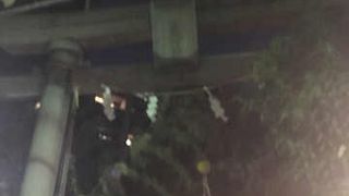 芸事などに御利益