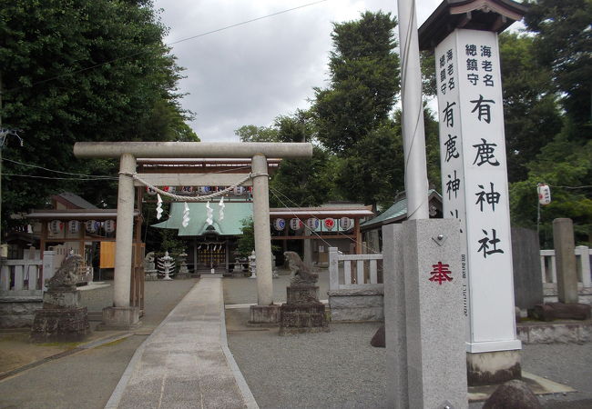 有鹿神社