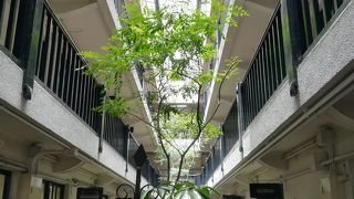 １階パティオと吹き抜けがいい感じ