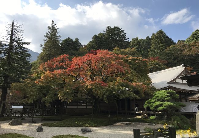 紅葉が素敵