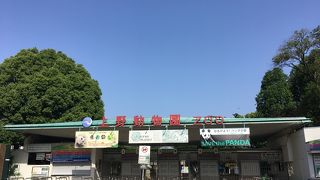 シャンシャンを見に