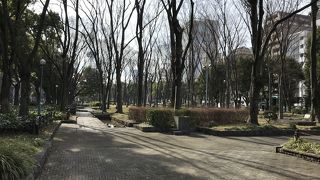 長ーい公園です。