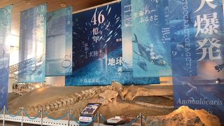 無料エリアでも十分