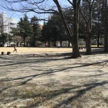 のんびりできます。