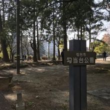 左右で違いがあります。