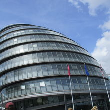 アルマジロです