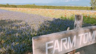 苗も販売「ファーム富田」中富良野