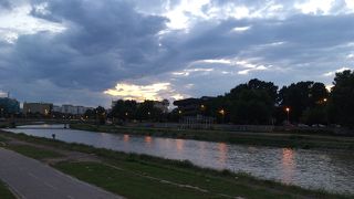 野良犬に要注意