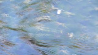 涼しい水辺の散歩道