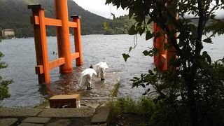 芦ノ湖の鳥居