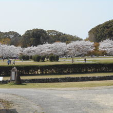 公園