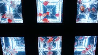 アートアクアリウム2018